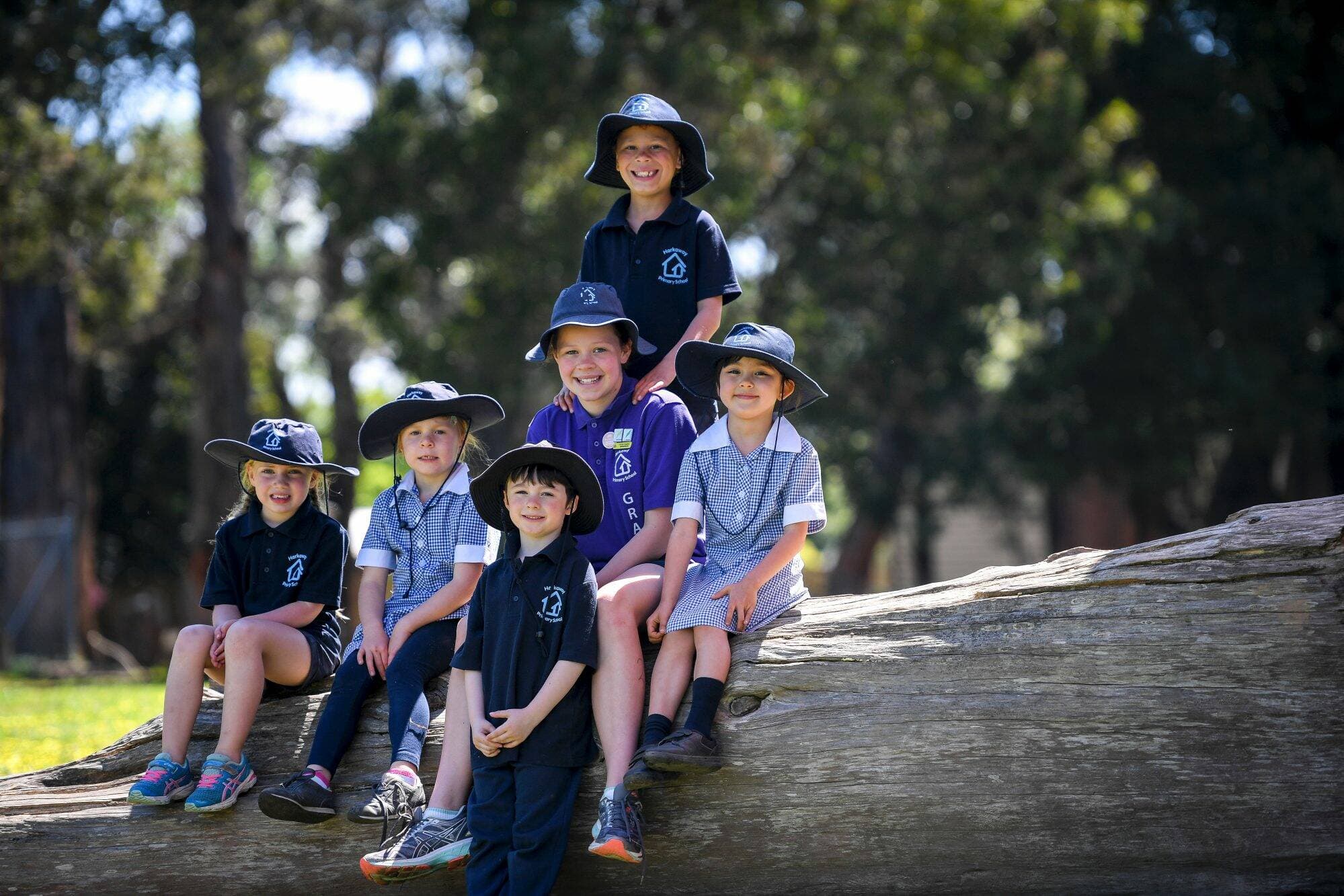 Harkaway Primary School LOTE - Chinese Learning